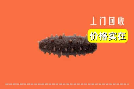 垣曲县回收海参