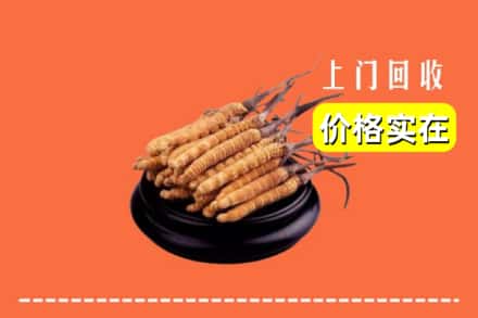 垣曲县回收冬虫夏草