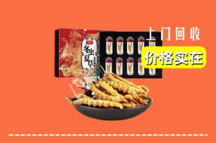 垣曲县回收虫草